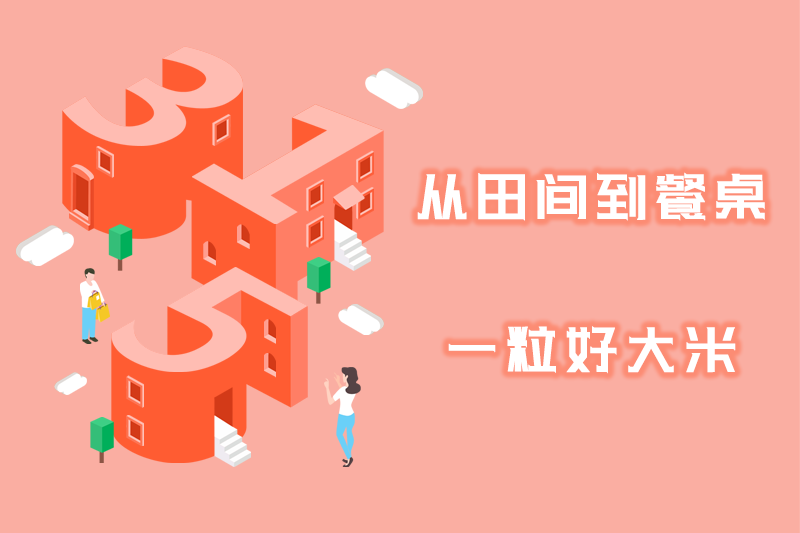 從田間到餐桌 一粒好大米