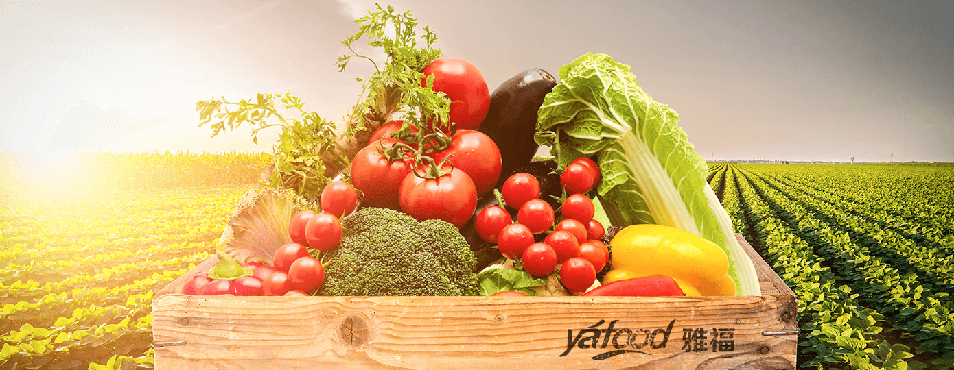 1562227765.png 畫板 2.png