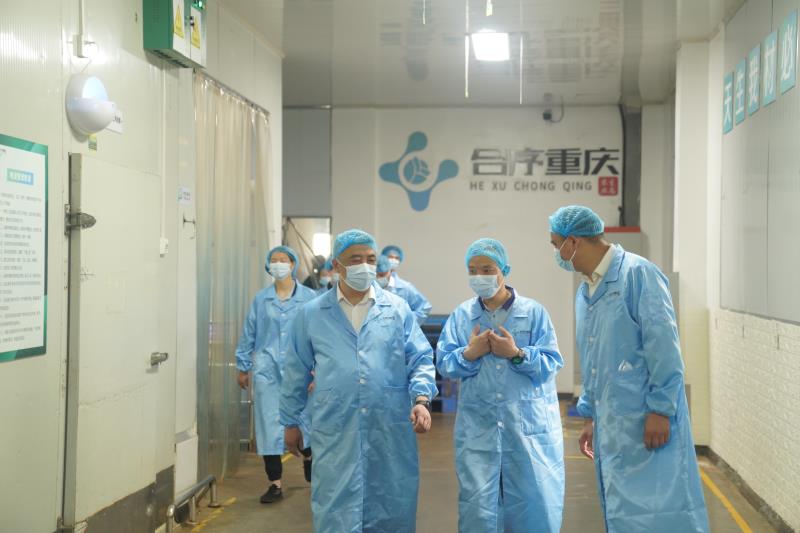 1683789689543183.jpg DSC04392.JPG