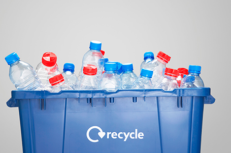 一只被“區分”的垃圾桶