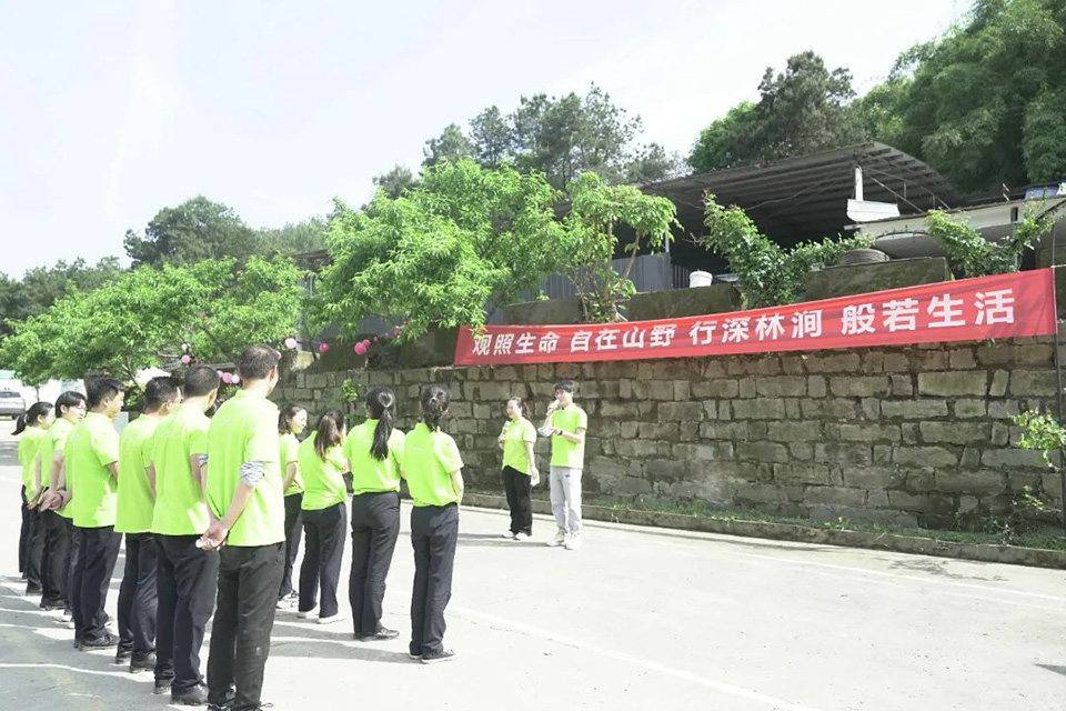 1718084517976550.jpg z01.jpg